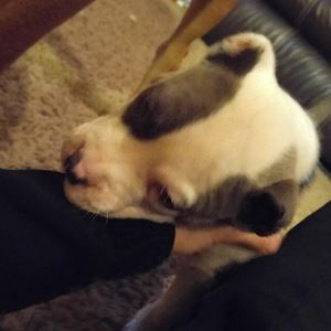 Meet your Posher, Mike